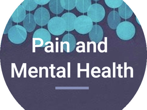 Mental health and the language of pain: working with lived experience to develop a pain lexicon