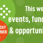 Mid-week roundup 13/11/24: events, funding, & opportunities in mental health research