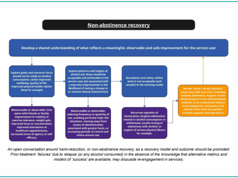 Theme 1 – Alcohol Dependence; Topic 3 – Dr James Morris